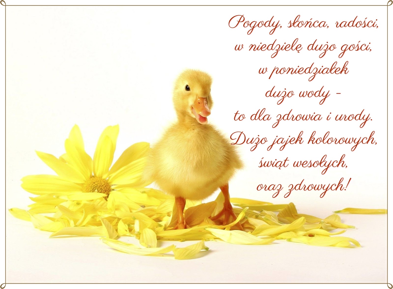 Puzzle wielkanocne Co mi w duszy gra- grafika, cytaty, życzenia, wiersze: z życzeniami na